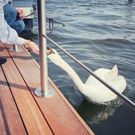 Hébergement de vacances Hausboot Aurora Mit Grossem Sonnendeck *